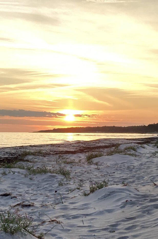 Pressestimmen, Sonne über Gudhjem: Ein Bornholm-Krimi